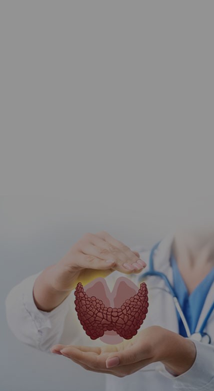 Kerala's Specialised Choice